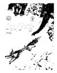 Panch Tantra Ki Kahaniyan (Part-4)